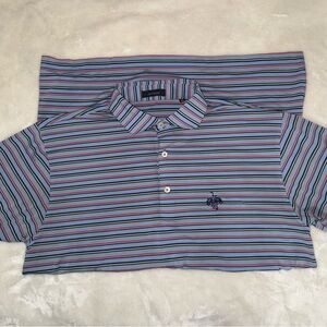 Turtleson Men's Multi-colored Striped Polo Shirt